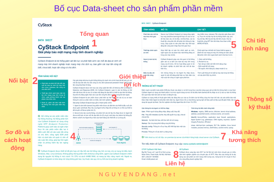 Phân tích bố cục datasheet của sản phẩm phần mềm